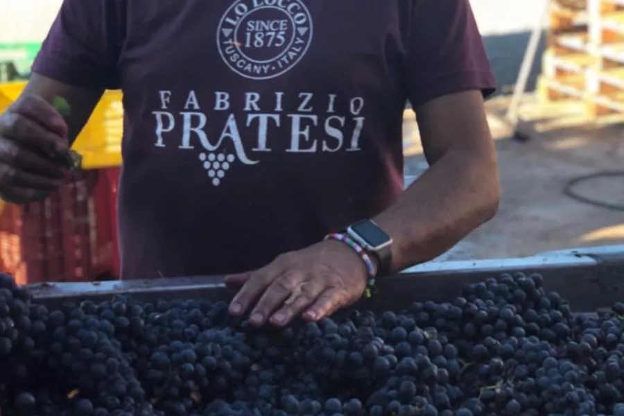 Immagine Fabrizio Pratesi Winery 19 Immagine Fabrizio Pratesi Winery 19