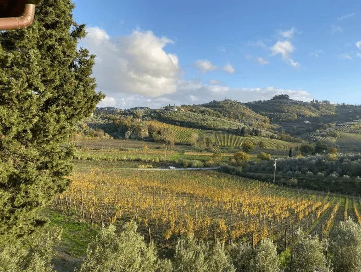 Immagine Fabrizio Pratesi Winery 2