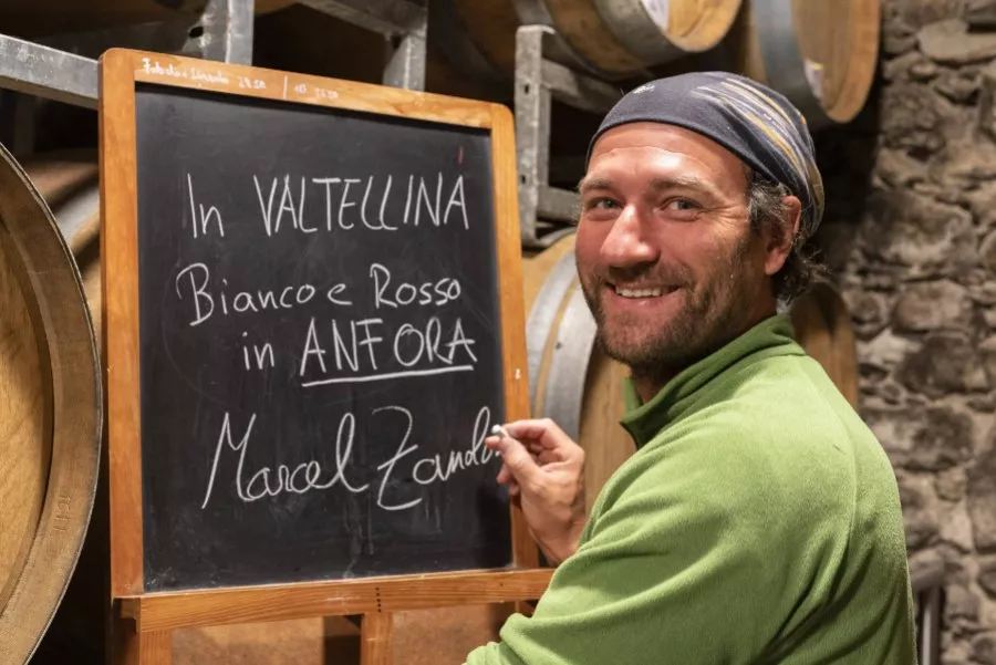Immagine Cantina Marcel Zanolari 4 Immagine Cantina Marcel Zanolari 4