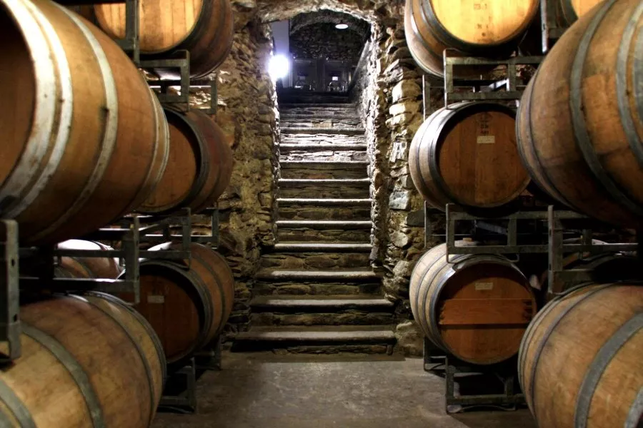 Immagine Vagabondando… vigna e cantina 12 Immagine Vagabondando… vigna e cantina 12