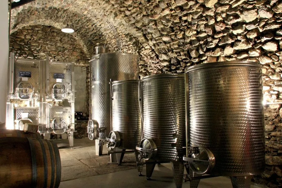 Immagine Vagabondando… vigna e cantina 13 Immagine Vagabondando… vigna e cantina 13