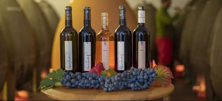 Immagine visita Emozionando… la cantina cantina Cantina Marcel Zanolari
