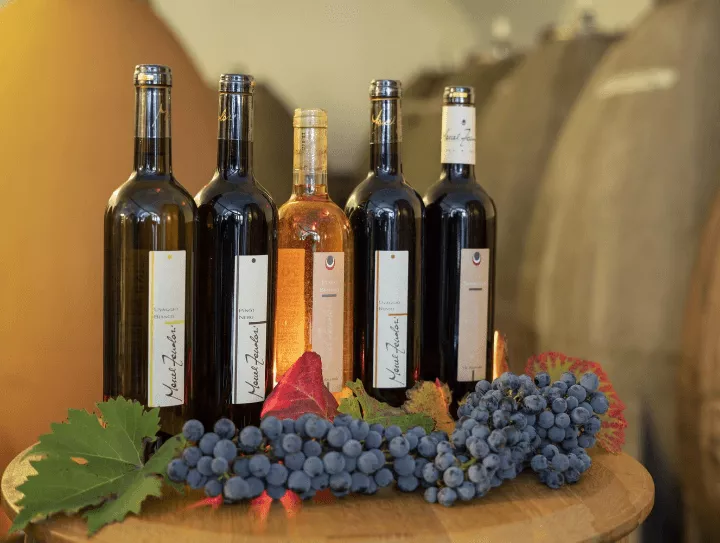 Immagine Cantina Marcel Zanolari 2 Immagine Cantina Marcel Zanolari 2