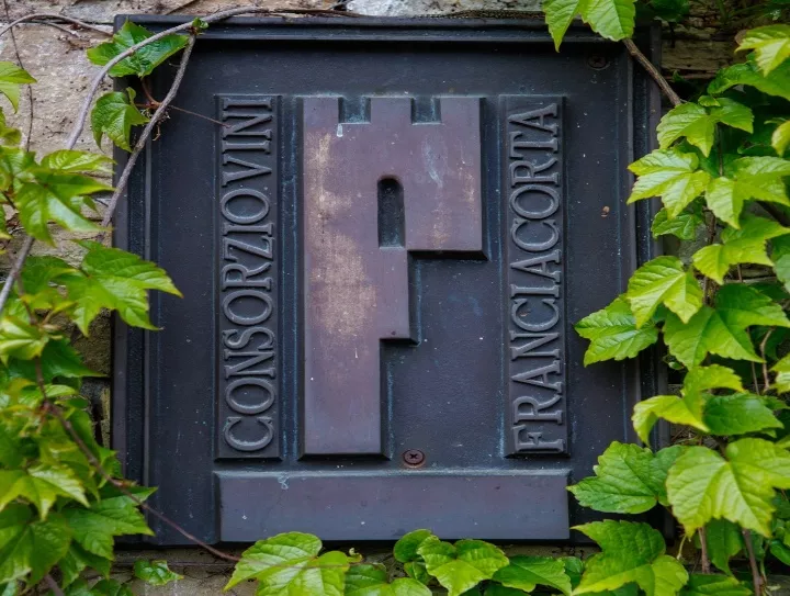 Immagine FRANCIACORTA DOCG SATÉN 8 Immagine FRANCIACORTA DOCG SATÉN 8