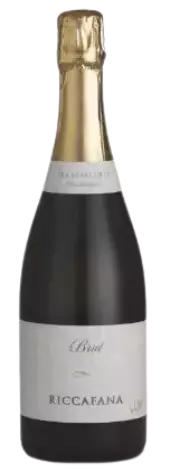 Bottiglia FRANCIACORTA DOCG BRUT Bottiglia FRANCIACORTA DOCG BRUT