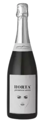 Immagine vino VSQ METODO CLASSICO HORTA Immagine vino VSQ METODO CLASSICO HORTA
