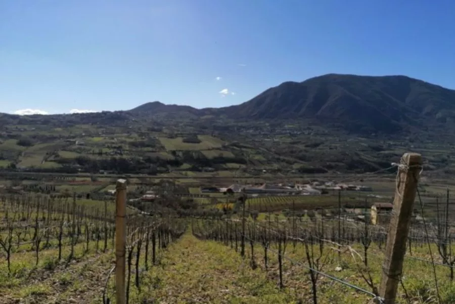 Immagine Pietreionne 3