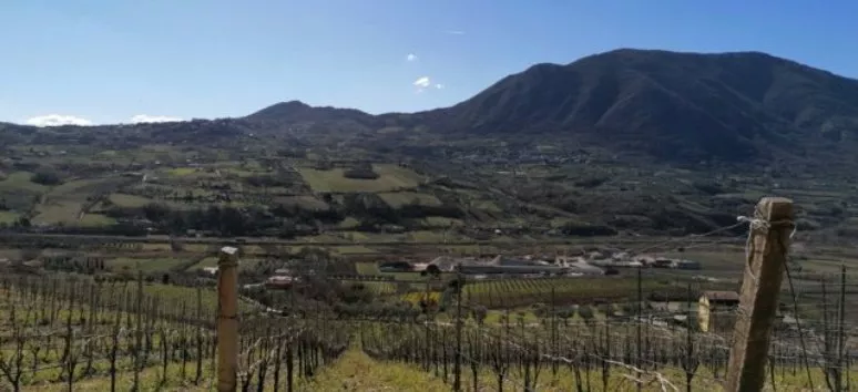 Immagine visita Wine Experience Pietreionne