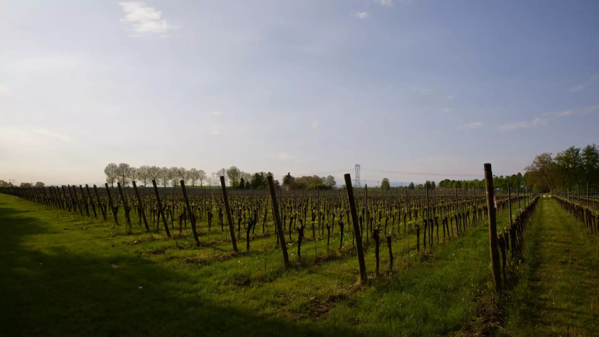 Immagine Degustazione col Produttore 3 Immagine Degustazione col Produttore 3