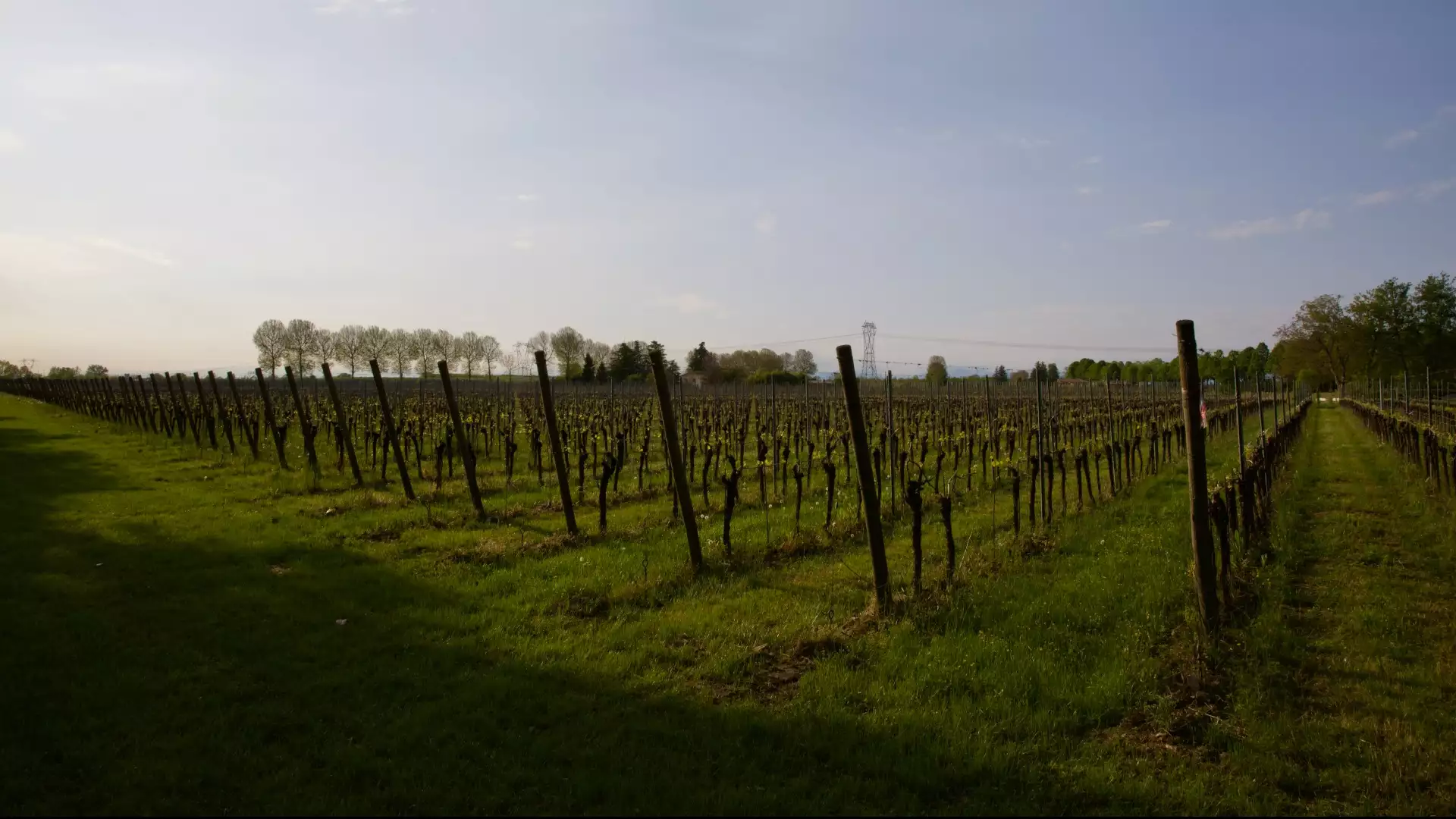 Immagine Degustazione col Produttore 6 Immagine Degustazione col Produttore 6