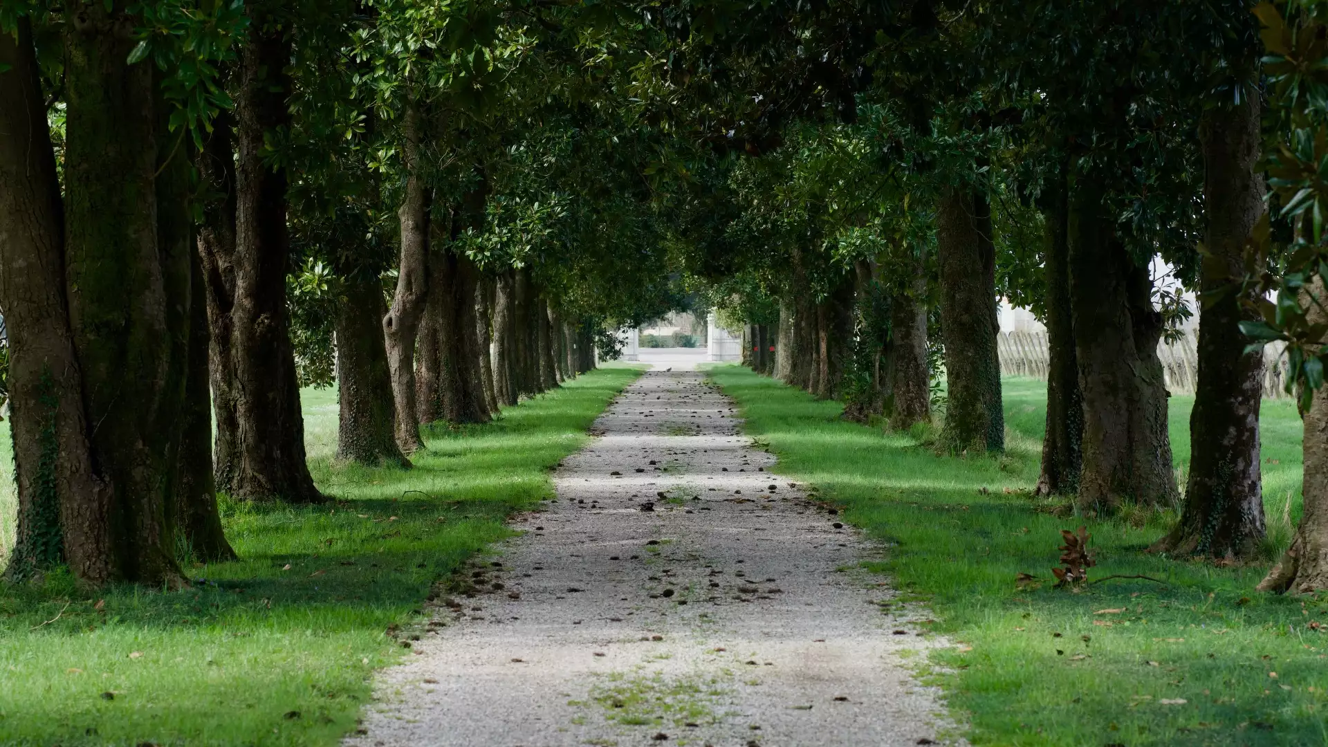 Immagine Degustazione con Visita 8 Immagine Degustazione con Visita 8