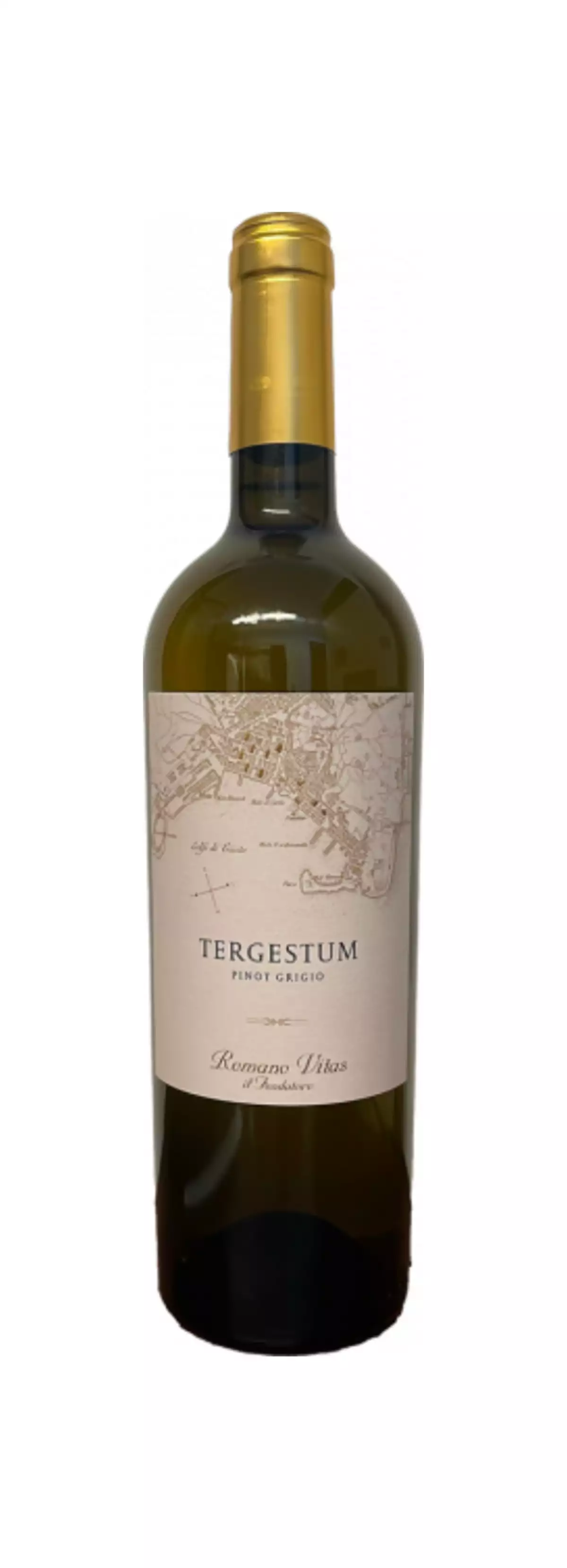 Immagine vino Tergestum Pinot Grigio Immagine vino Tergestum Pinot Grigio