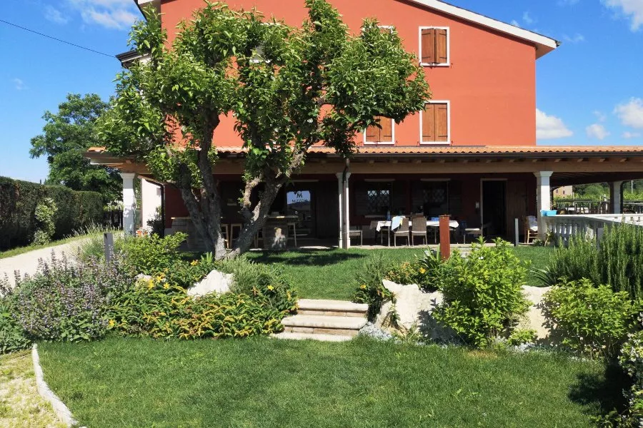 Immagine Cantina Mizzon 4