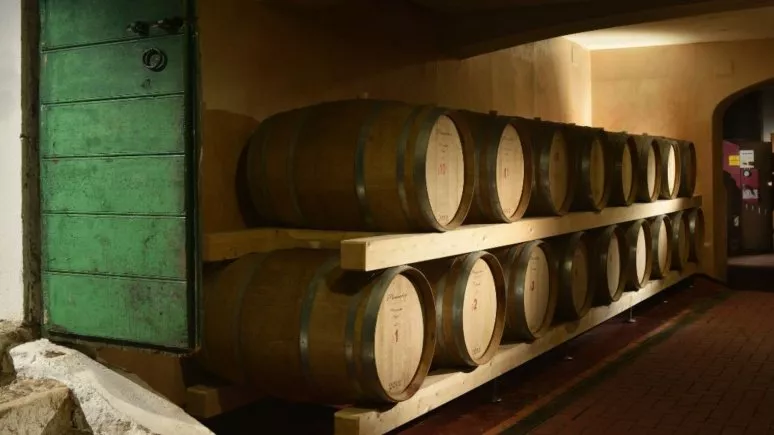 Immagine visita VERTICALE AMARONE cantina Cantina Mizzon