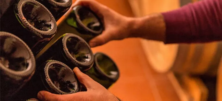 Immagine visita Alla scoperta dell'Erbaluce cantina La Masera Immagine visita Alla scoperta dell'Erbaluce cantina La Masera