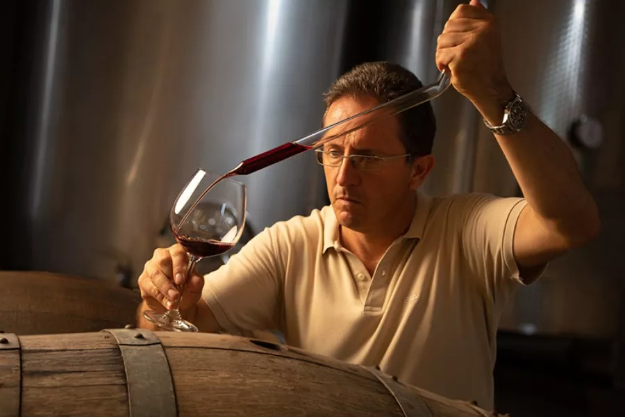 Immagine Vendemmia & Pigiatura con Degustazione nelle Langhe (Cantine Aperte 2025) 9 Immagine Vendemmia & Pigiatura con Degustazione nelle Langhe (Cantine Aperte 2025) 9