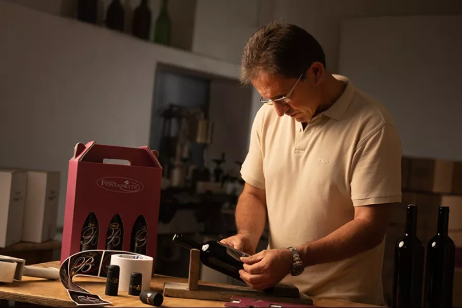 Immagine Vendemmia & Pigiatura con Degustazione nelle Langhe (Cantine Aperte 2025) 10 Immagine Vendemmia & Pigiatura con Degustazione nelle Langhe (Cantine Aperte 2025) 10