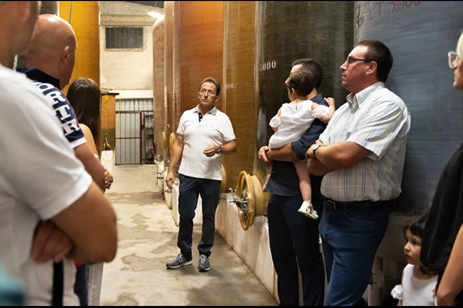 Immagine Vendemmia & Pigiatura con Degustazione nelle Langhe (Cantine Aperte 2025) 11 Immagine Vendemmia & Pigiatura con Degustazione nelle Langhe (Cantine Aperte 2025) 11