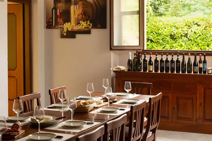 Immagine Vendemmia & Pigiatura con Degustazione nelle Langhe (Cantine Aperte 2025) 15 Immagine Vendemmia & Pigiatura con Degustazione nelle Langhe (Cantine Aperte 2025) 15