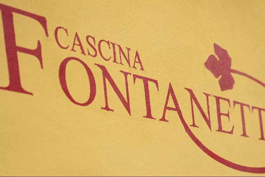 Immagine Vendemmia & Pigiatura con Degustazione nelle Langhe (Cantine Aperte 2025) 16 Immagine Vendemmia & Pigiatura con Degustazione nelle Langhe (Cantine Aperte 2025) 16