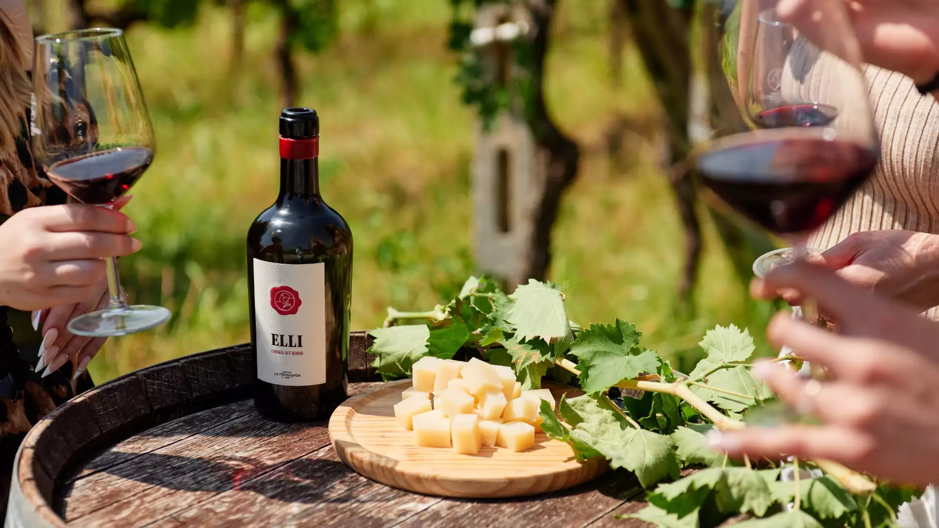 Immagine visita San Francesco cantina La Veneranda