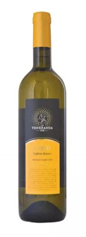 Immagine vino Aureo Umbria IGT Bianco Immagine vino Aureo Umbria IGT Bianco