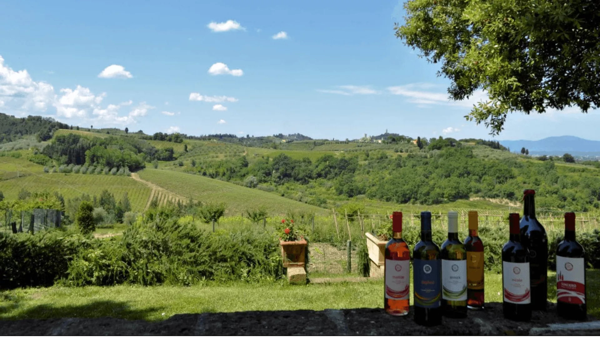 Immagine cantina Cantina Cosimo Maria Masini