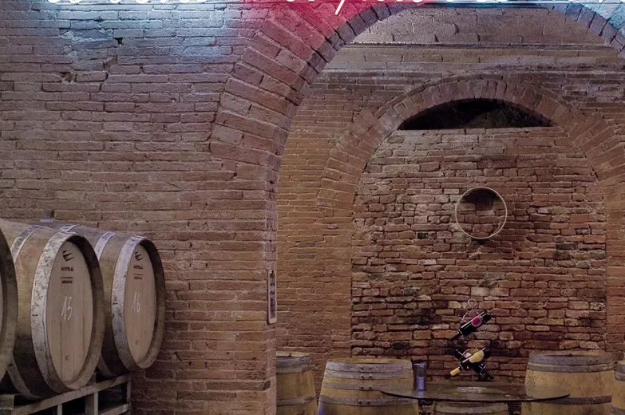 Immagine Wine Tour con degustazione 11 Immagine Wine Tour con degustazione 11