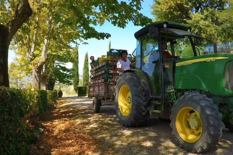 Immagine Wine Tour con degustazione 15 Immagine Wine Tour con degustazione 15
