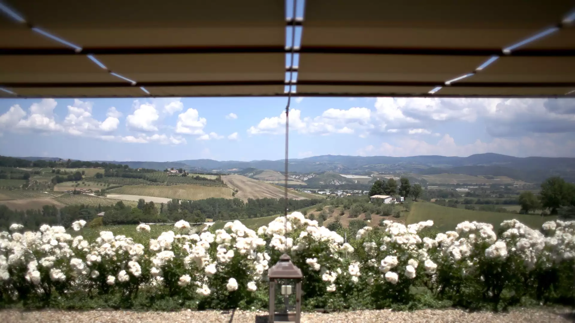 Immagine LA DOLCE MUFFA NOBILE 6