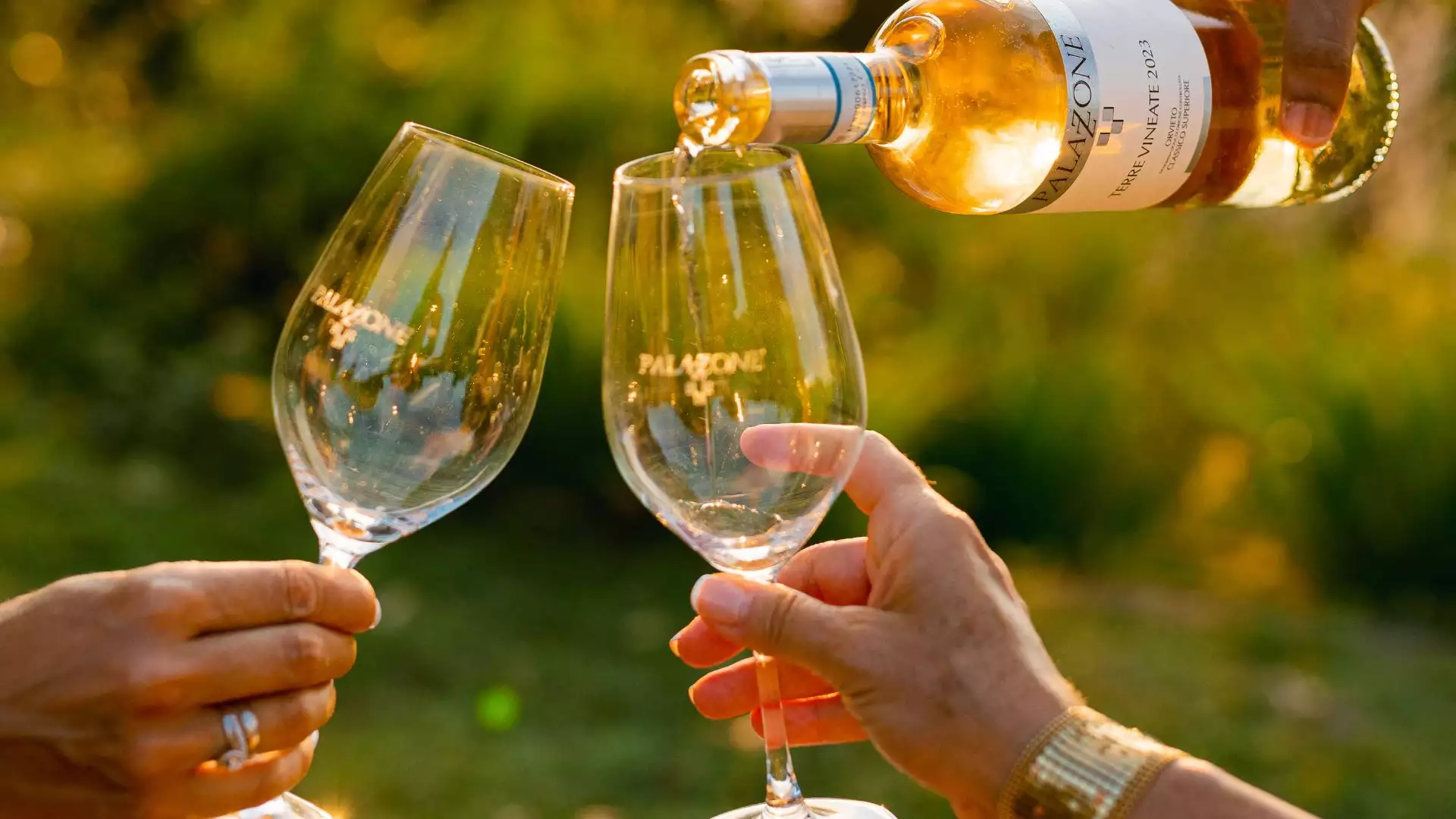Immagine visita  cantina Azienda vitivinicola Palazzone