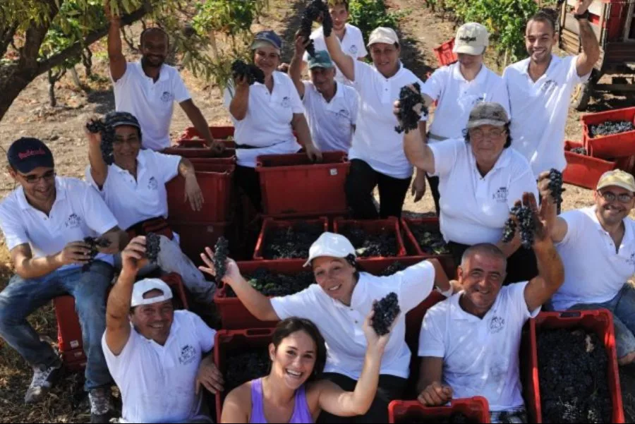 Immagine Antica Masseria Jorche 4