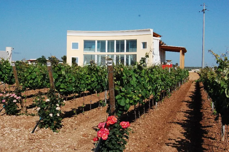 Immagine Puglia a tavola 10 Immagine Puglia a tavola 10