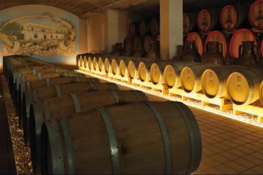 Immagine Puglia a tavola 15 Immagine Puglia a tavola 15