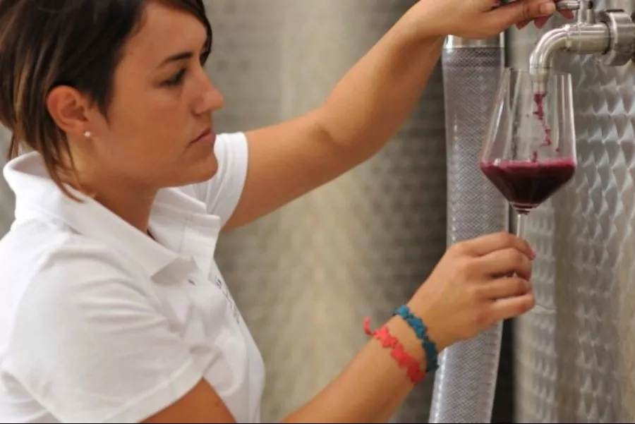 Immagine Puglia a tavola 18 Immagine Puglia a tavola 18