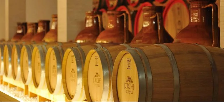 Immagine visita Scopri Jorche Immagine visita Scopri Jorche