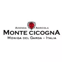 Monte Cicogna logo Monte Cicogna logo