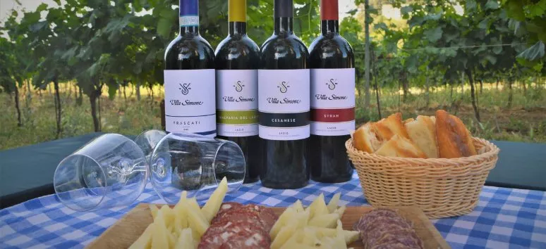 Immagine visita Evolution Wine tasting cantina Villa Simone Immagine visita Evolution Wine tasting cantina Villa Simone