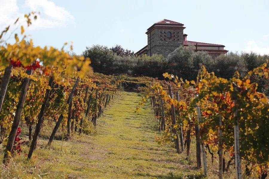 Immagine Full Tasting 7 Immagine Full Tasting 7