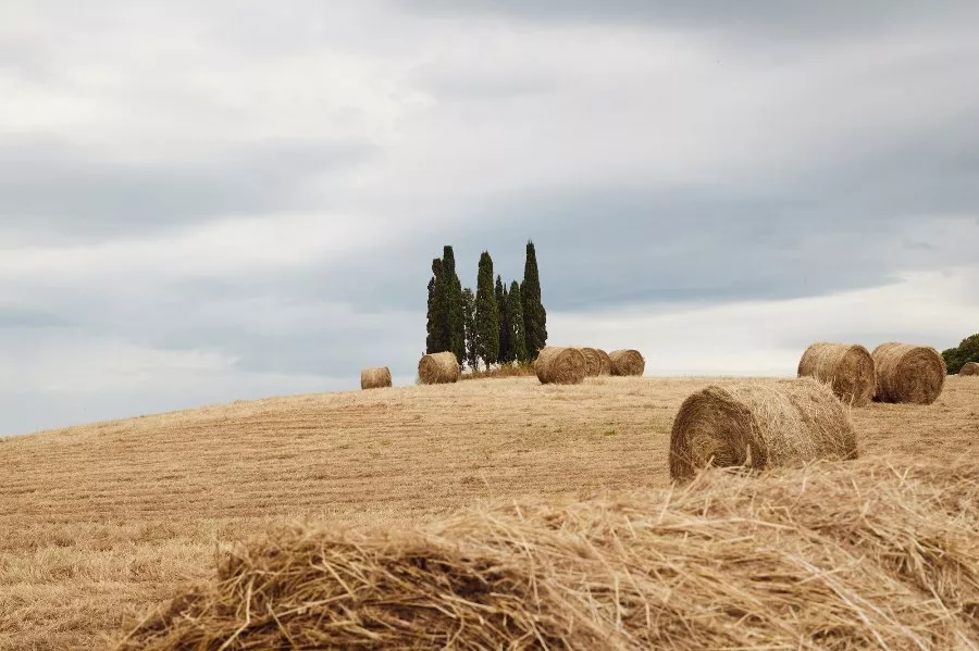 Immagine LA TOTALE 17