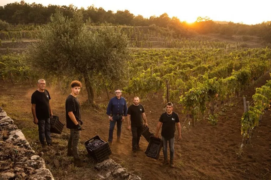 Immagine Visita in Vigna, Palmento e Degustazione 10 Immagine Visita in Vigna, Palmento e Degustazione 10
