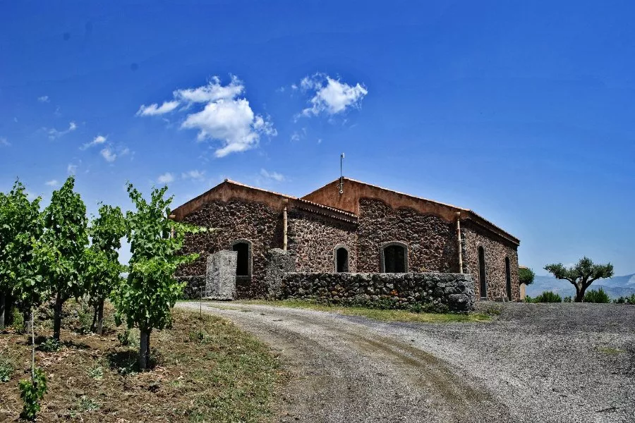 Immagine Visita in Vigna, Palmento e Degustazione 13 Immagine Visita in Vigna, Palmento e Degustazione 13