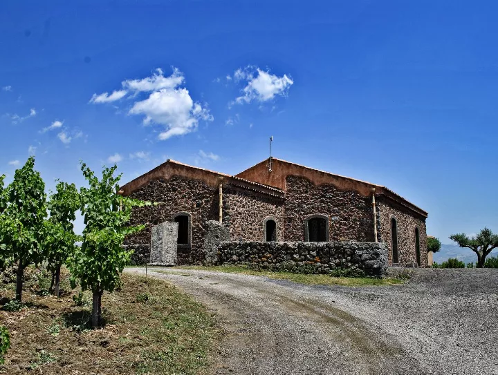 Immagine Cantina Torre Mora 2 Immagine Cantina Torre Mora 2