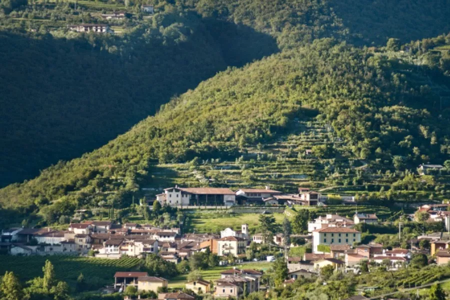 Immagine Majolini 10 Immagine Majolini 10