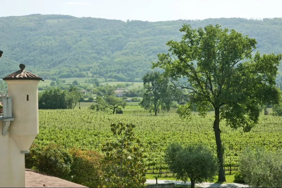Immagine Lantieri de Paratico 8 Immagine Lantieri de Paratico 8
