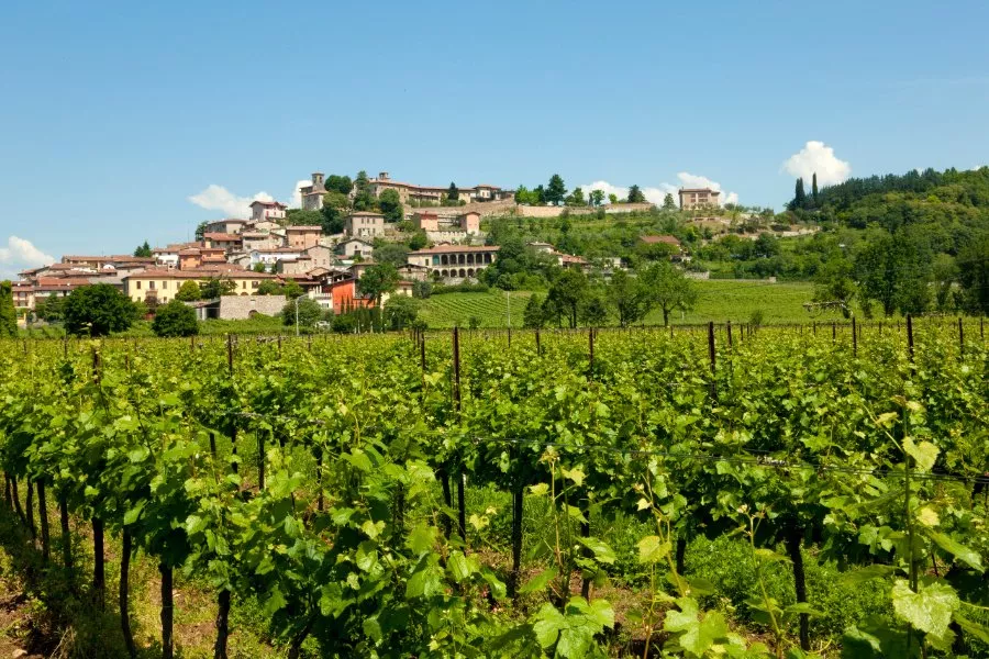 Immagine Lantieri de Paratico 15 Immagine Lantieri de Paratico 15
