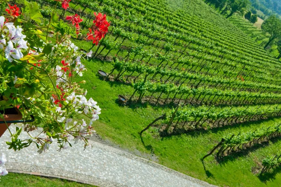 Immagine Lantieri de Paratico 16 Immagine Lantieri de Paratico 16