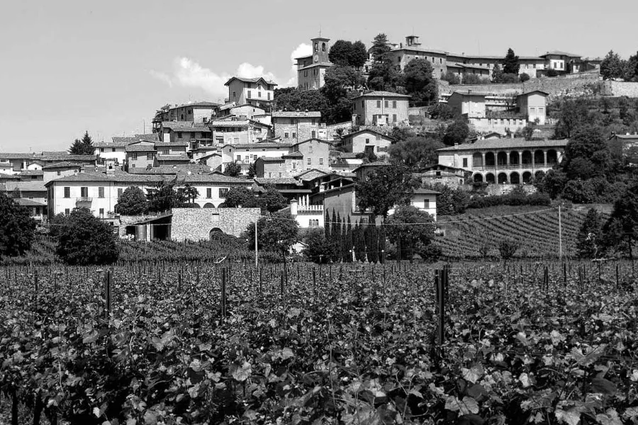 Immagine Lantieri de Paratico 22 Immagine Lantieri de Paratico 22