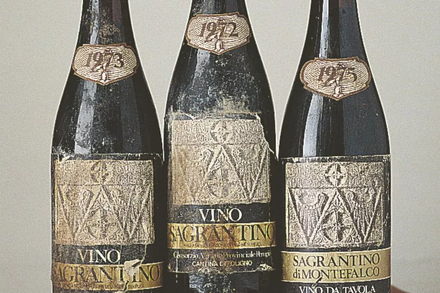Immagine La Popolana 8 Immagine La Popolana 8