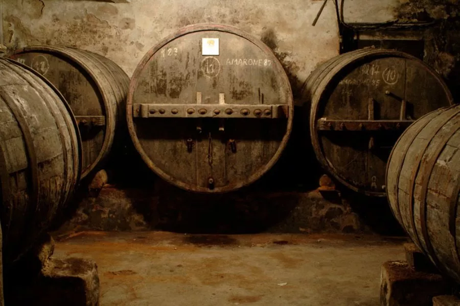 Immagine Blind Tasting 4